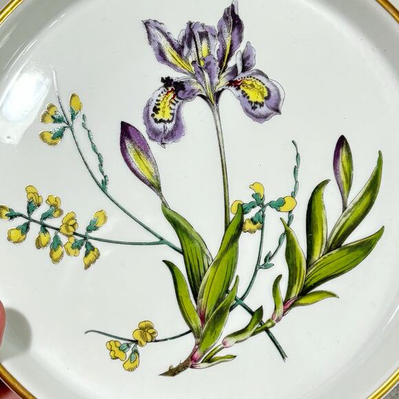 Spode stafford flowers tart baking dish iris & sphaerolibium 7" quiche plate - Picture 5 of 10